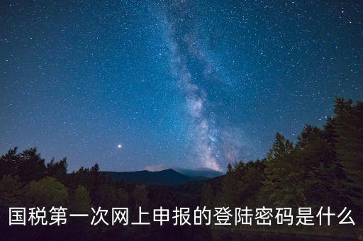國(guó)稅登錄賬號(hào)密碼是什么意思，國(guó)稅第一次網(wǎng)上申報(bào)的登陸密碼是什么