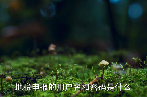 杭州地稅用戶名是什么意思，地稅的用戶名是什么