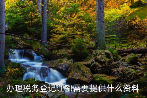 稅務(wù)實(shí)名登記需要什么資料，辦理稅務(wù)登記證都需要提供什么資料