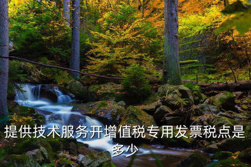提供技術(shù)服務(wù)開(kāi)增值稅專用發(fā)票稅點(diǎn)是多少