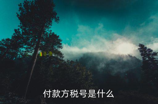 稅務(wù)所號(hào)是什么，繳稅賬號(hào)類(lèi)型是什么