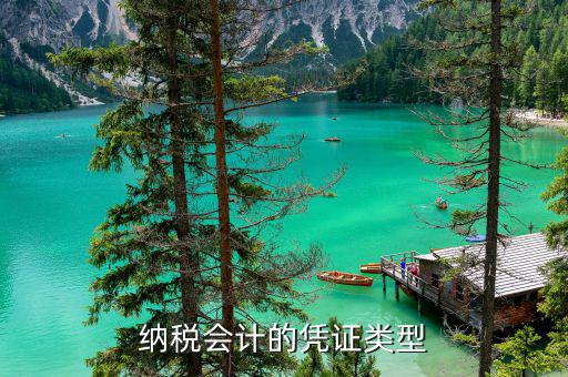 應(yīng)納稅憑證種類(lèi)是什么意思，總賬里關(guān)于記賬憑證的種類(lèi)和號(hào)數(shù)是什么意思
