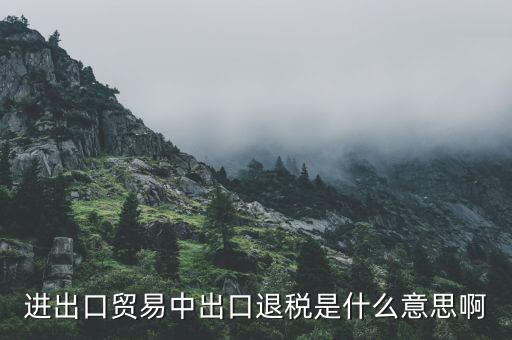 什么是增值稅出口退稅，出口退稅指的是什么