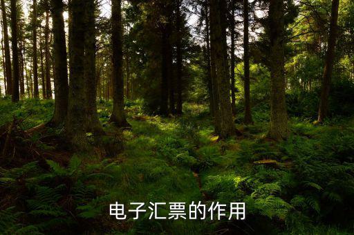 電子發(fā)票作用是什么，電子發(fā)票系統(tǒng)能做什么用