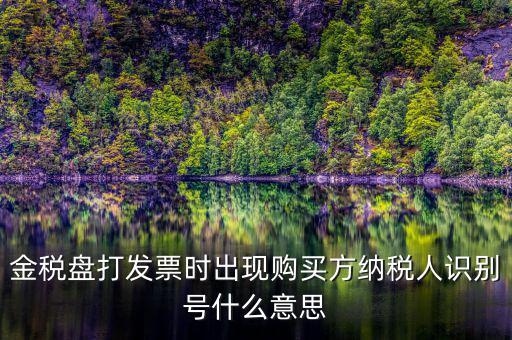 購(gòu)貨方識(shí)別號(hào)是什么，開(kāi)票方識(shí)別號(hào)是什么意思