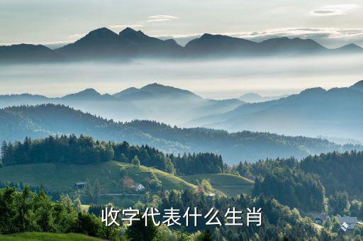 稅字代表什么生肖，十二生肖各代表什么字