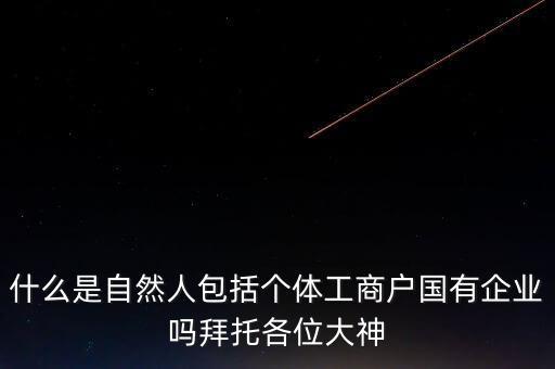 稅務上的自然人指的是什么，申請人為自然人的是什么意思