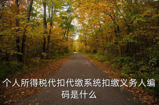 扣繳義務(wù) 填什么，請(qǐng)問扣繳義務(wù)人編碼是指什么呀