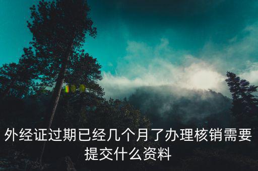 上海外經(jīng)證核銷資料要些什么，外經(jīng)證過(guò)期已經(jīng)幾個(gè)月了辦理核銷需要提交什么資料