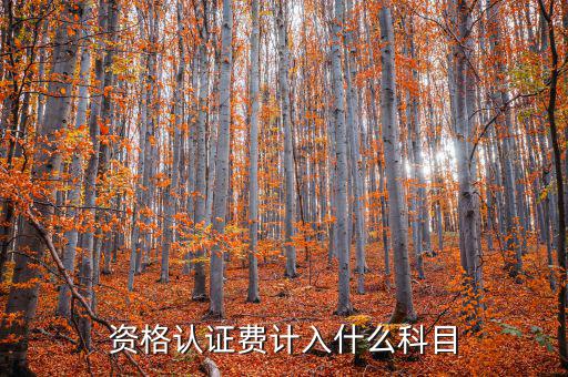 認(rèn)證服務(wù)費(fèi)什么，申請(qǐng)微信公眾賬號(hào)認(rèn)證服務(wù)費(fèi)什么意思