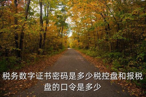 寧波國(guó)稅ca密碼是什么，寧波市電子稅務(wù)局登陸密碼