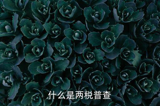 兩稅普查是什么意思，進口兩稅是什么