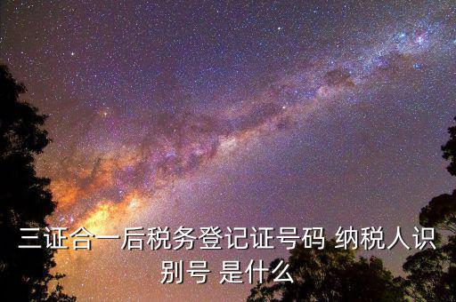 納稅人識(shí)別號(hào) 稅務(wù)代碼是什么意思，納稅人識(shí)別號(hào)是什么