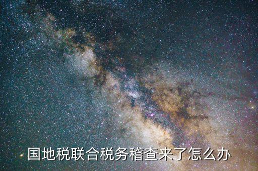 國(guó)地稅聯(lián)合稽查是什么意思，國(guó)地稅聯(lián)合稅費(fèi)申報(bào)什么意思