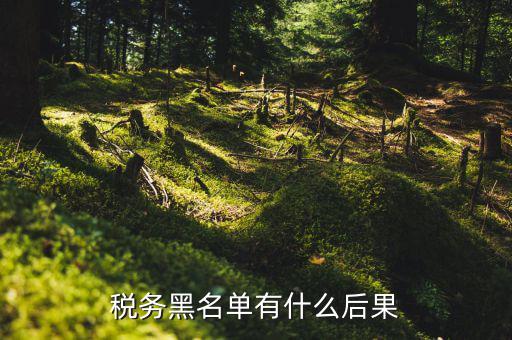 稅收黑名單制度是什么，關(guān)于上了稅務(wù)黑名單影響出境嗎