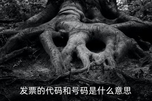 什么是打發(fā)票代碼，請教各位什么事發(fā)票代碼