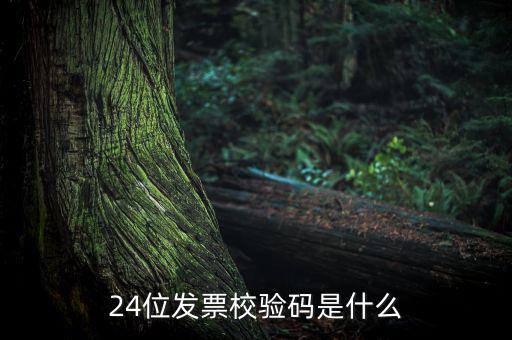 24位發(fā)票校驗碼是什么