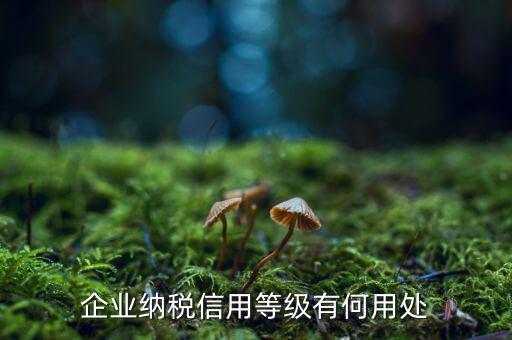 納稅等級有什么用，請問什么是分級別納稅信用單位怎么得到這種稱號得到了又有啥好