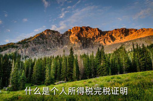 個人所得稅完稅是什么，招聘時說的稅后這個稅是指的什么