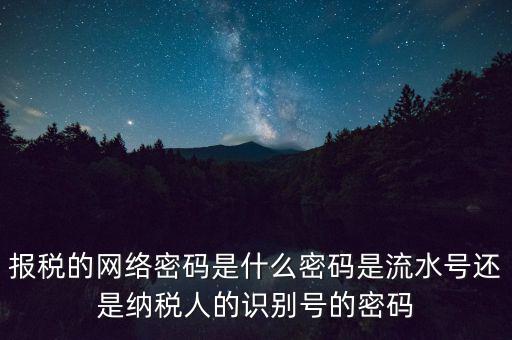報稅的網(wǎng)絡密碼是什么密碼是流水號還是納稅人的識別號的密碼