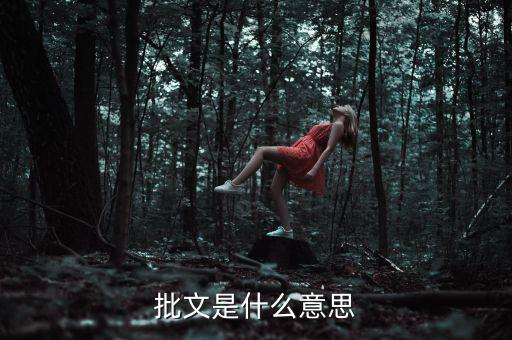 稅收個(gè)案批復(fù)是什么意思，批文是什么意思