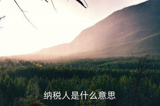 稅收人是什么意思，征稅人的含義