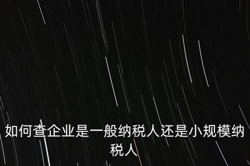 查詢公司什么納稅人，如何查企業(yè)是一般納稅人還是小規(guī)模納稅人