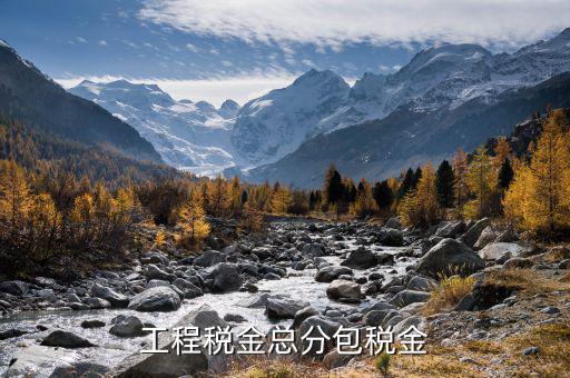 凈稅收中的總稅是什么，簡(jiǎn)明的說(shuō)下增值稅附加稅等各項(xiàng)稅款