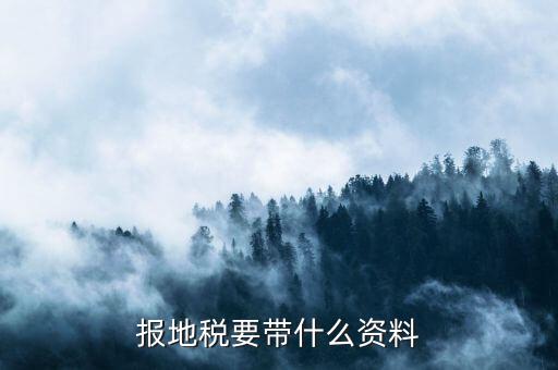 地稅逾期申報(bào) 帶什么資料，我們公司的地稅逾期申報(bào)了是要去地稅補(bǔ)申報(bào)那需要帶什么資料