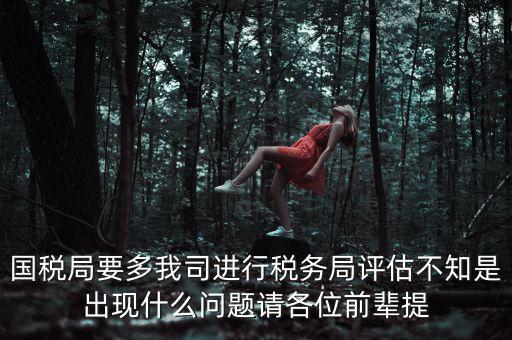 國稅評(píng)估局是干什么的，國稅局是做什么的說簡(jiǎn)單點(diǎn)兒吧謝謝