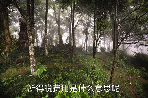 所得稅支出什么意思，企業(yè)所得稅是什么意思