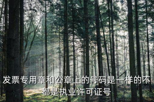 公章和發(fā)票章號(hào)碼是什么，發(fā)票專用章和公章上的號(hào)碼是一樣的不都是執(zhí)業(yè)許可證號(hào)