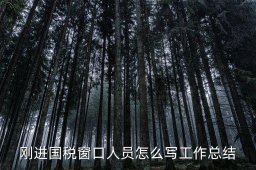 在國稅上班有什么感想，我是合同員工到國稅局上班一個(gè)月心得體會(huì)