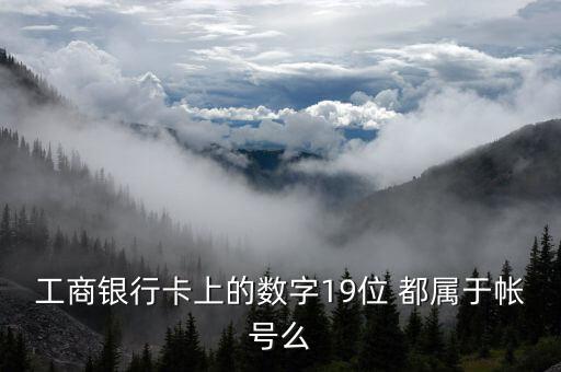 工行19位賬號(hào)應(yīng)用號(hào)是什么，請(qǐng)解釋工商銀行19位帳號(hào)的組成含義