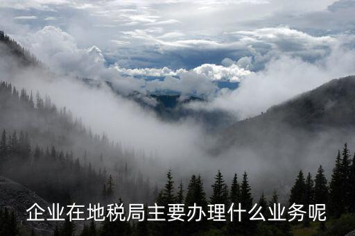 廣州地稅辦理什么業(yè)務(wù)，廣州稅務(wù)登記