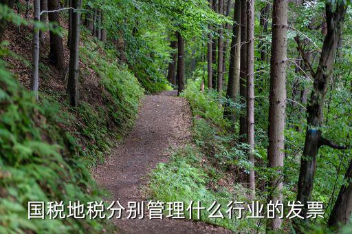 地稅涉及的行業(yè)都是什么，國(guó)稅地稅分別管理什么行業(yè)的發(fā)票