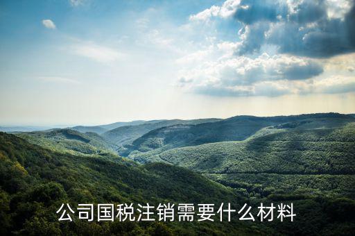 公司國(guó)稅注銷需要什么材料
