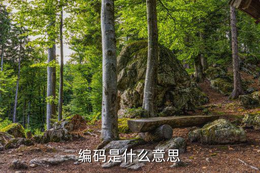 商品和勞務(wù)編碼是什么意思，編碼是什么意思