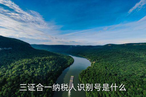 三證合一稅務(wù)識別號是什么，三證合一后納稅人識別號是什么意思