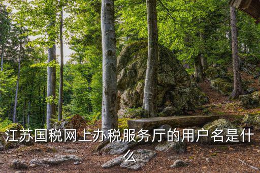 江蘇國稅用戶名密碼是什么意思，江蘇國稅網(wǎng)上辦稅服務(wù)廳的用戶名是什么