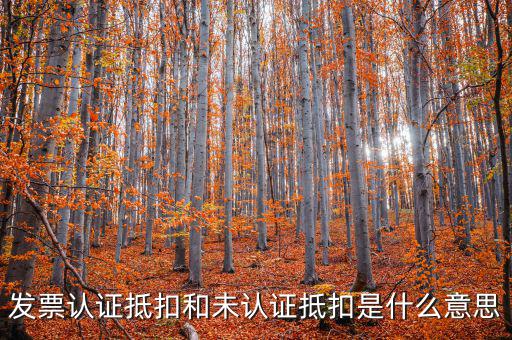 稅收抵免是什么，出口免稅是什么意思
