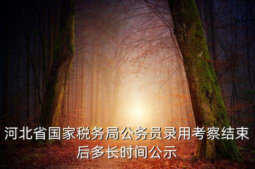 國稅一般什么時(shí)候公示，河北省國家稅務(wù)局公務(wù)員錄用考察結(jié)束后多長時(shí)間公示