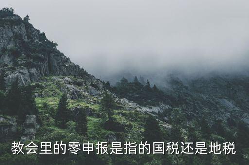 教會(huì)里的零申報(bào)是指的國稅還是地稅