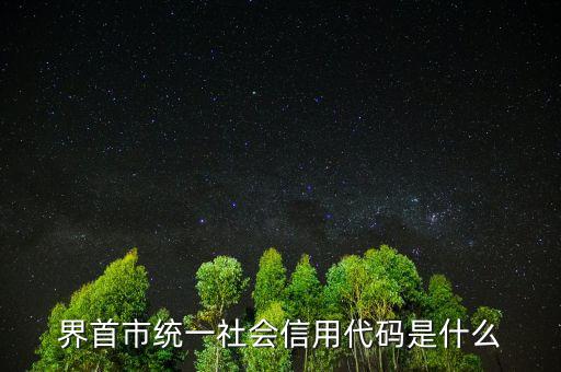 統(tǒng)一社會信用代碼指什么，深圳碼統(tǒng)一社會信用代碼是什么