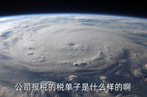 稅務(wù)清單是什么樣的，公司報(bào)稅的稅單子是什么樣的啊