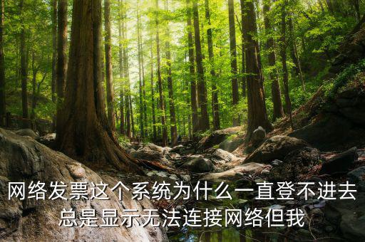 網(wǎng)絡(luò)發(fā)票 登錄密碼是什么情況，樂稅社區(qū)稅友咨詢問題增值稅發(fā)票查詢平臺登錄密碼是什么