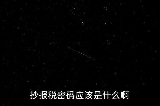 抄報稅密碼應該是什么啊