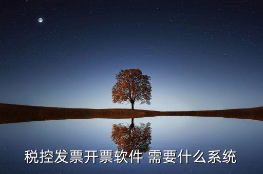 稅務(wù)開票系統(tǒng)都有什么，什么是開票系統(tǒng)小規(guī)模納稅人有裝開票系統(tǒng)嗎在線等謝謝