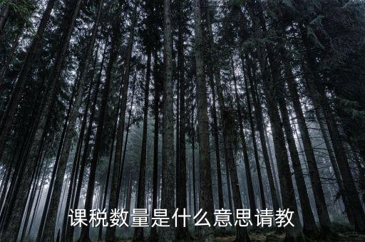 課稅數量是什么意思請教