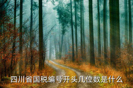 成都稅務號是什么單位，請問納稅人編碼是4419045002955是什么公司的